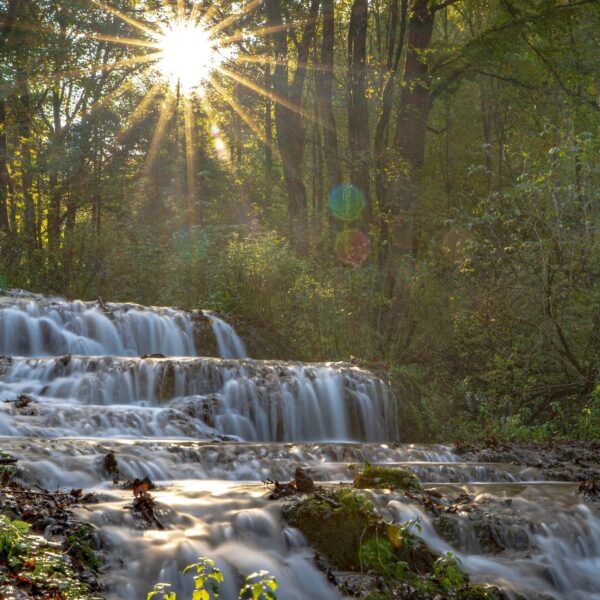 2104_fatyol_slider21